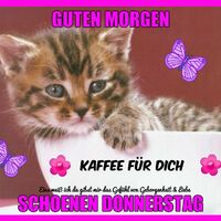 Guten Morgen...