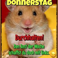 Donnerstag. Durch...