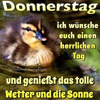 Donnerstag - ich...