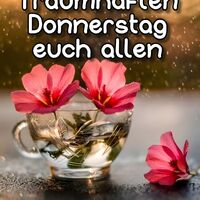 Traumhaften Donne...