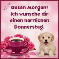 Guten Morgen!...