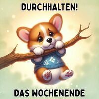 Dieser niedliche Corgi im Pullover zaubert jedem ein Lächeln ins Gesicht und erinnert daran, dass auch kleine Helden große Hürden meistern können.