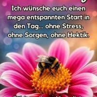 Hummel auf pinker Blüte, darüber Grußtext für Donnerstag vor buntem, unscharfem Hintergrund