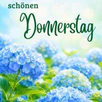 Grüner Grußtext über blauen Hortensien in einem hellen, sommerlichen Gartenhintergrund