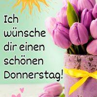 Rosa Tulpen im Topf mit gelber Schleife, dazu gezeichnete Sonne und kleine Herzen