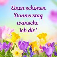 Bunte Frühlingsblumen vor pastellfarbenem Hintergrund mit Grußtext
