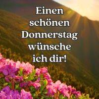 Sonnenaufgang über Bergen, vorne pinke Blüten und ein Gruß zum Donnerstag