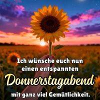 Hand hält Sonnenblume vor Sonnenuntergang; am Himmel Sterne, Sternschnuppe und Mondsichel