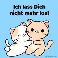 Zwei herzige Katzen zeigen, wie schön Geborgenheit und Freundschaft sein können - zusammen ist alles besser.