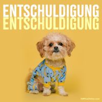 Ein niedlicher Hund in einem Bananenanzug zeigt sich vor einem gelben Hintergrund.