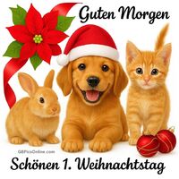 Guten Morgen...