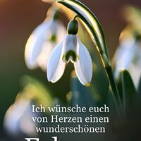 Bezaubernde Schneeglöckchen heißen die ersten Frühlingstage willkommen.