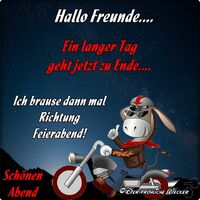 Hallo Freunde...