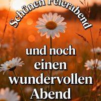 Gänseblümchen im Sonnenuntergang mit Grußtext für einen schönen Feierabend