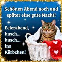 Katze sitzt in weißem Korb mit Decke, Glitzerrahmen und Gute-Nacht-Spruch auf blauem Hintergrund