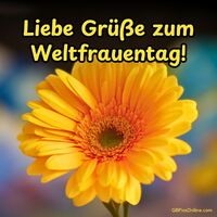 Eine leuchtende Blume für einen strahlenden Anlass: Froher Internationaler Frauentag!