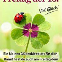 Marienkäfer auf vierblättrigem Glücksklee mit Spruch zu Freitag, dem 13., und Glückwunsch