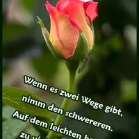 Einen wunderschön...