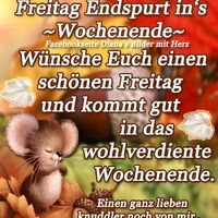Freitag - Endspur...