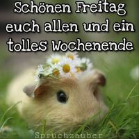Schönen Freitag...