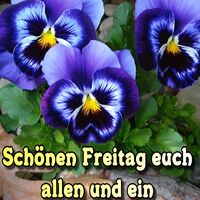 Schönen Freitag...