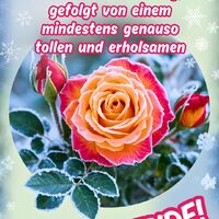 Ich wünsche euch...