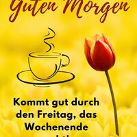Guten Morgen...