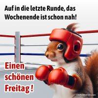 Ein Eichhörnchen mit roten Boxhandschuhen und Helm steht im Boxring. Text wünscht einen schönen Freitag