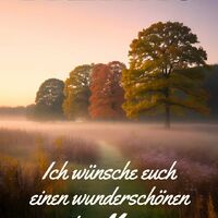 Ein nebliger Herbstmorgen lädt zum Träumen ein, während die Sonne die farbenprächtigen Bäume erleuchtet.