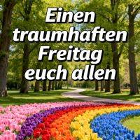 Frühlingspark mit bunten Tulpenbeeten, großem Baumalleeweg und Grußtext für einen schönen Freitag