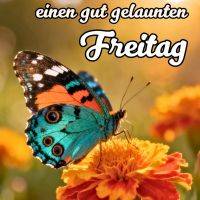 Bunter Schmetterling auf orangefarbener Blüte vor warmem, unscharfem Hintergrund mit Grußtext