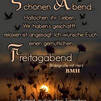 Schönen Abend...