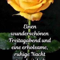 Gelbe Rose vor dunklem Hintergrund mit Grußtext für einen schönen Freitagabend und eine ruhige Nacht