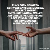 Zum leben gehören...