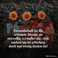Freundschaft ist...