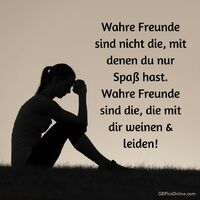 Wahre Freunde...