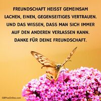 Freundschaft heiß...