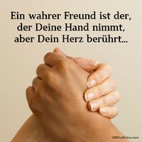 Ein wahrer Freund...