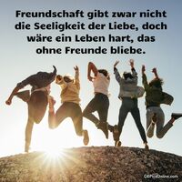 Freundschaft gibt...