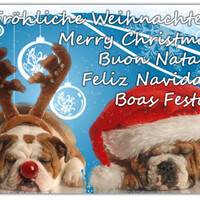 Fröhliche Weihnac...