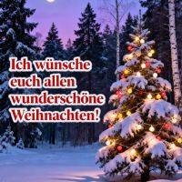 Verschneiter Wald bei Mondschein, geschmückter Tannenbaum mit Lichterkette und Weihnachtsgruß