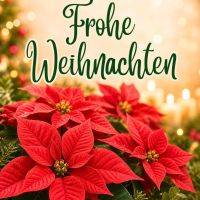 Weihnachtsgruß mit roten Weihnachtssternen, Tannenzweigen und warmen Lichtern im Hintergrund