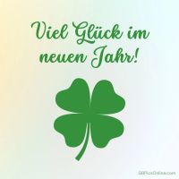 Ein vierblättriges Kleeblatt bringt Hoffnung und Glück für das kommende Jahr.