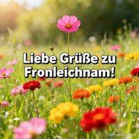 Bunte Blumenwiese mit pinker Blüte im Fokus und Grußtext zu Fronleichnam