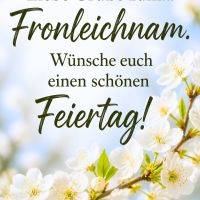 Weiße Frühlingsblüten vor blauem Himmel mit Grußtext zu Fronleichnam