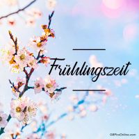 Blühende Zweige künden vom Frühlingserwachen, ein Fest der Natur in zarten Rosa- und Weißtönen.