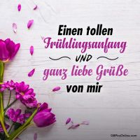 Frühlingsblumen auf hellem Holzhintergrund, ein Zeichen des neuen Anfangs.