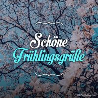 Blühende Zweige kündigen den Beginn des Frühlings an, ein Fest der Naturerwachung.