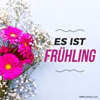 Leuchtende Blumen und zarte Blüten signalisieren das Erwachen der Natur.