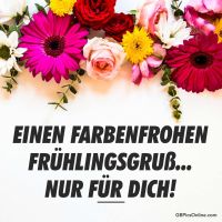 Blumenpracht in leuchtenden Farben als Zeichen des Frühlings.